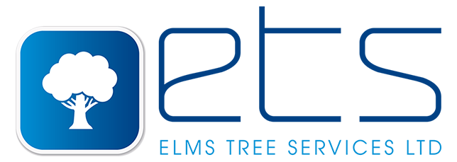 Elmstree